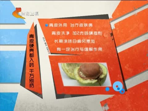 家政女皇 《家政女皇》 20141104 核桃身上扔掉的宝 强效补肾治便秘