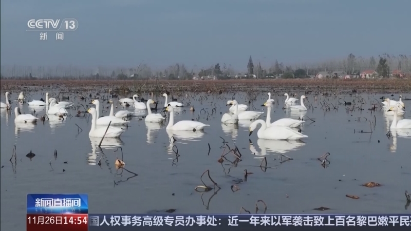 新闻直播间 《新闻直播间》 20251126 14:00