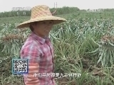 我爱发明 《我爱发明》 20140319 粉碎精灵