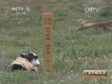 中国财经报道 《中国财经报道》 20140802 聚焦国家工程——打通中国能源大通道