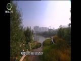 江源扫描 《江源扫描》 20170430 护好青山绿水 建设美丽家园