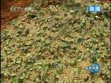 新闻联播 新闻联播 2010-03-20 21:00