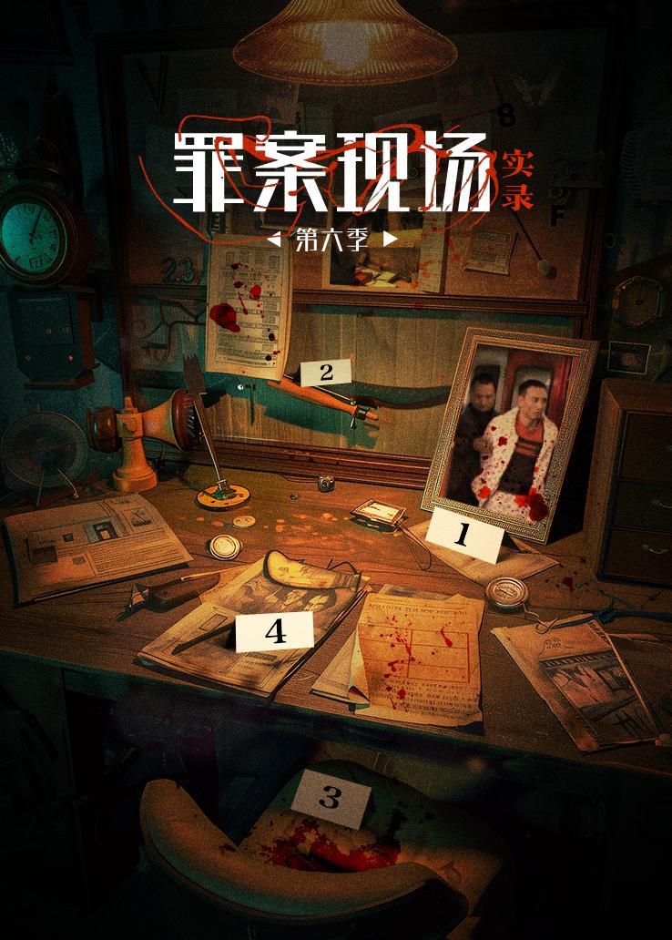 罪案现场实录第六季 海报