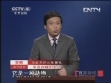 百家讲坛 《百家讲坛》 20130530 汉武帝的三张面孔（十六）汗血宝马