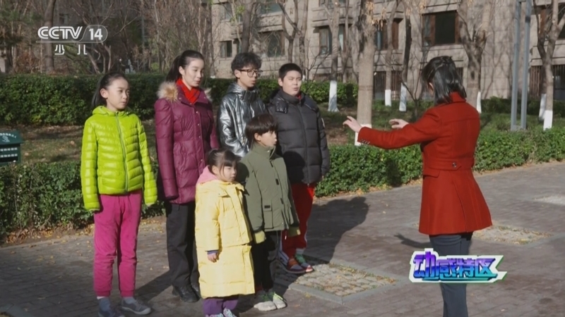 动感特区 《动感特区》 20240926 学好民法典 成长不烦恼