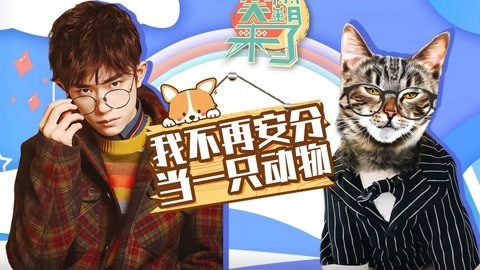 笑霸来了欢畅版 忘记自己属性的动物们