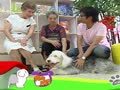狗狗日记 第198天 Alpha是万人迷