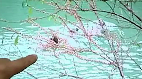经典传奇 格凸河惊现大型生物 难道河里有水怪？