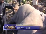 热线12 《热线12》 20170716 横冲直撞