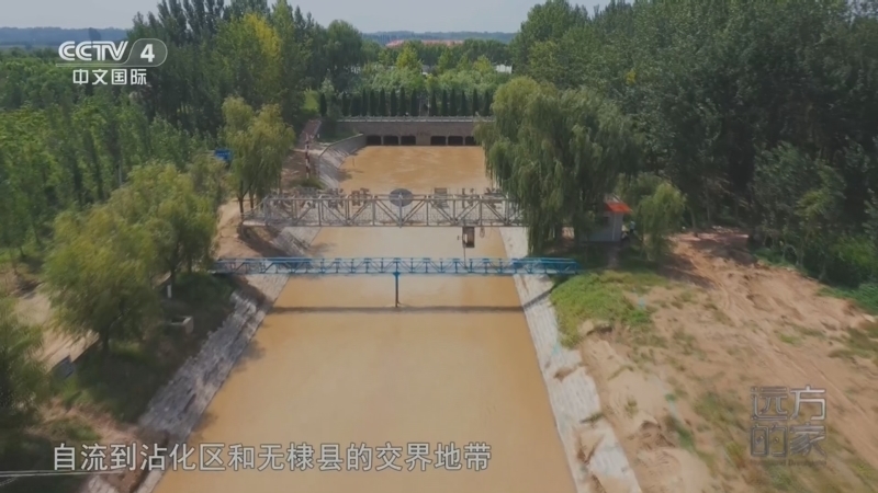 远方的家 《远方的家》 20260720 山河锦绣看中国 山海焕新 水韵滨州