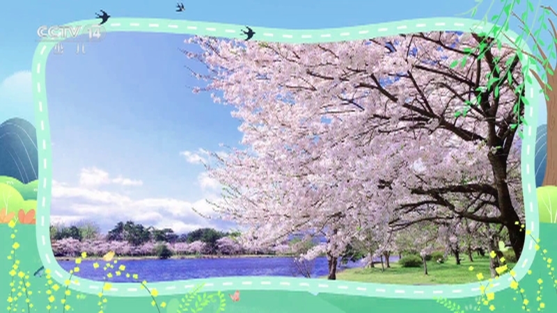 小小智慧树 《小小智慧树》 20250512