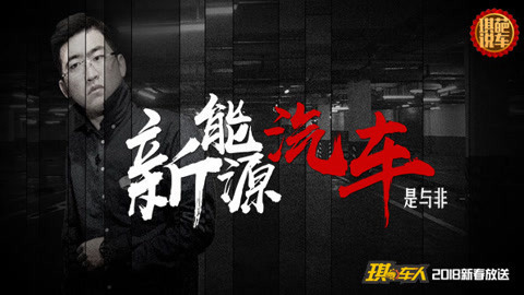琪葩说车 如果有效获得新能源汽车地方补贴