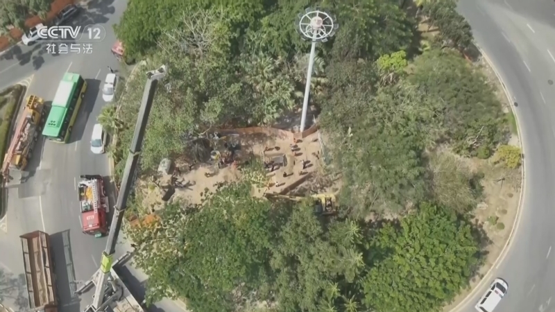 《生命线》 20260328