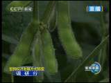 新闻联播 新闻联播 2010-08-23 21:00