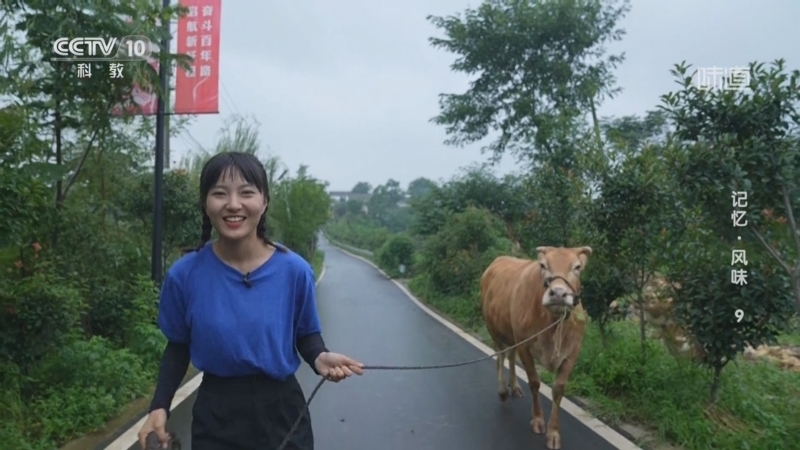 味道 《味道》 20250711 记忆·风味（9）