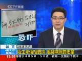 法治在线 法治在线 2010-04-13