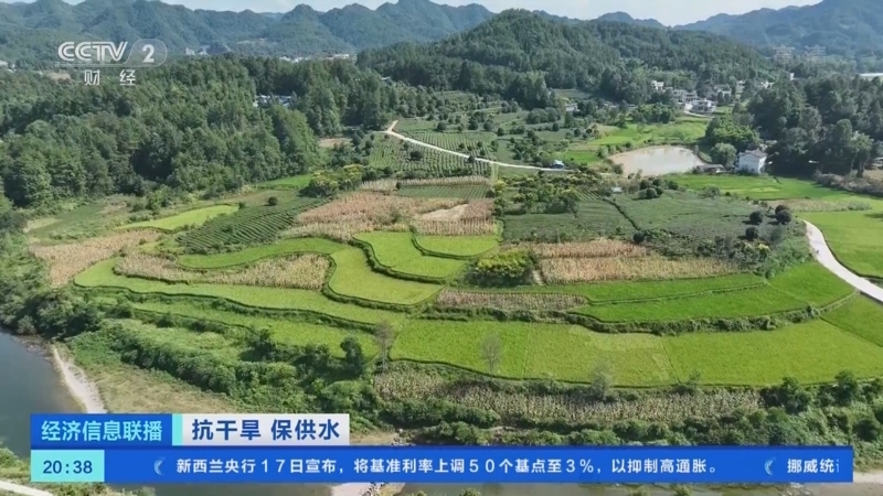 经济信息联播 《经济信息联播》 20220817