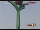 生财有道 《生财有道》 20120130 沾化冬枣：造就品质多重奏