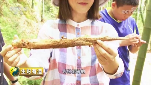 生财有道 《生财有道》 20190911 体验旅游丰富样态 赢得生态多样财富