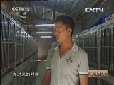 生财有道 《生财有道》 20130909 山村里养出“招财猫”