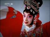 跟我学 王艳教京剧《杨门女将》风萧萧雾漫漫2
