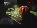 动物世界 《动物世界》 20120304