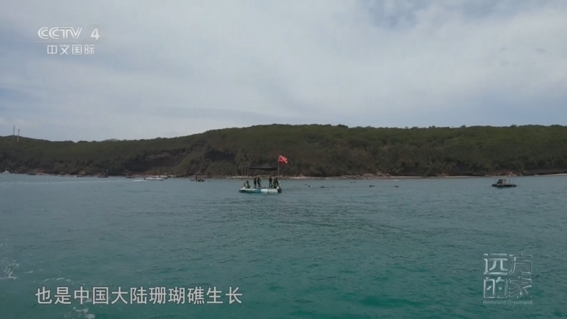 远方的家 《远方的家》 20251103 中国自然秘境 碧海家园 守望蔚蓝