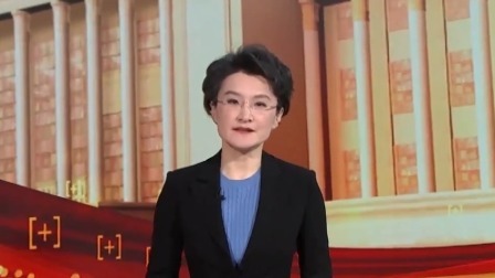 两会1+1：两会上的“全团建议”