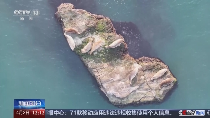 《新闻30分》 20260402