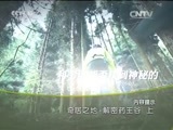 地理中国 《地理中国》 20151022 奇居之地·解密药王谷（下）