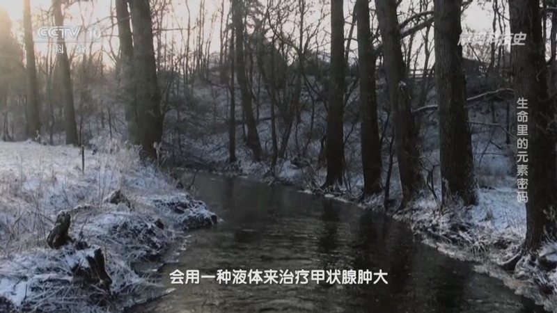 解码科技史 《解码科技史》 20250410 生命里的元素密码