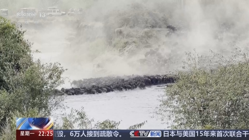国际时讯 《国际时讯》 20260803