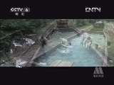 中国电影报道 《中国电影报道》 20130312
