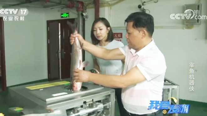 我爱发明 《我爱发明》 20200727 宰鱼机器侠