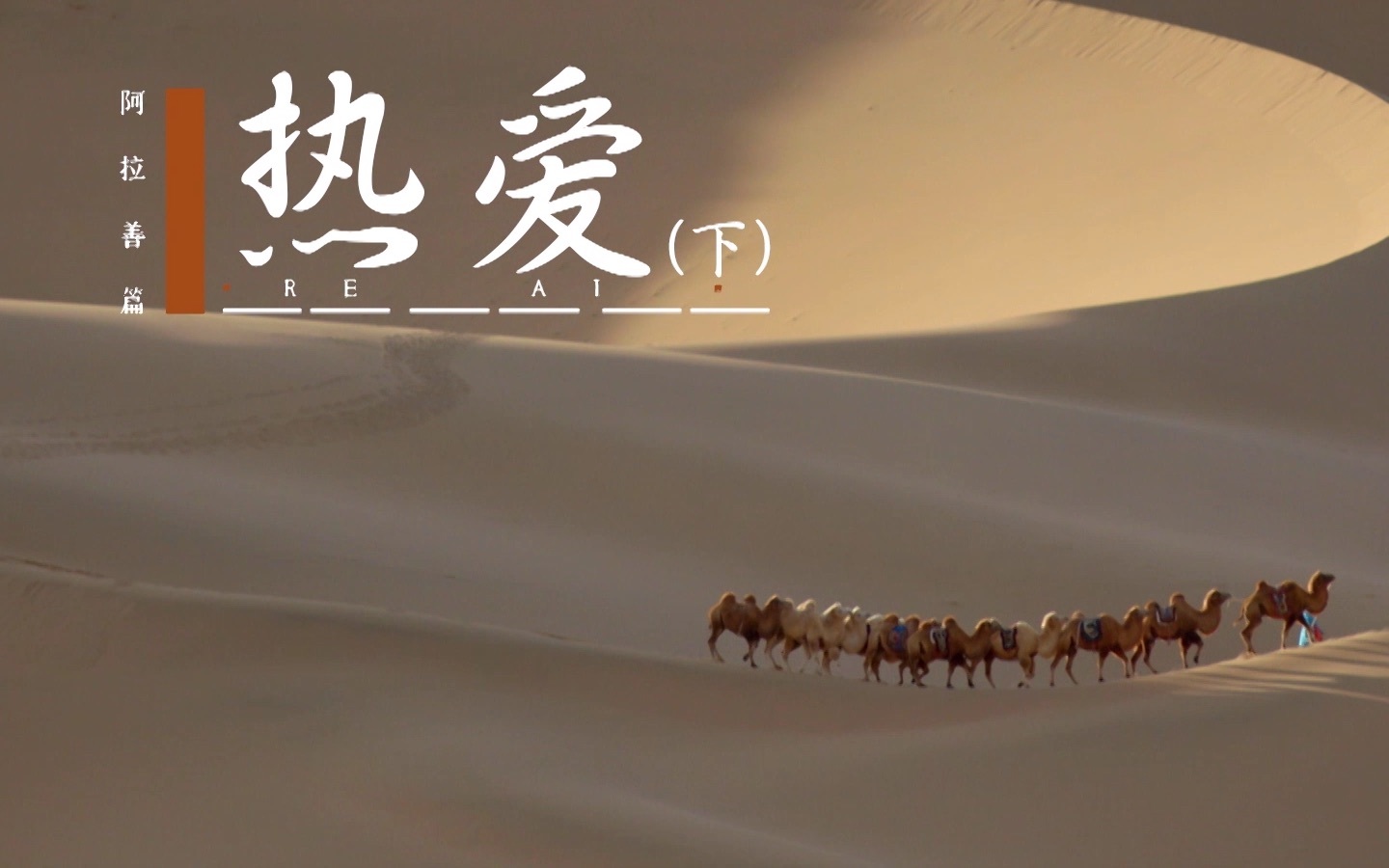 阿拉善篇：热爱（下）