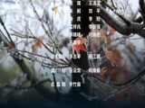 环球经济连线 《环球财经连线》 20161124