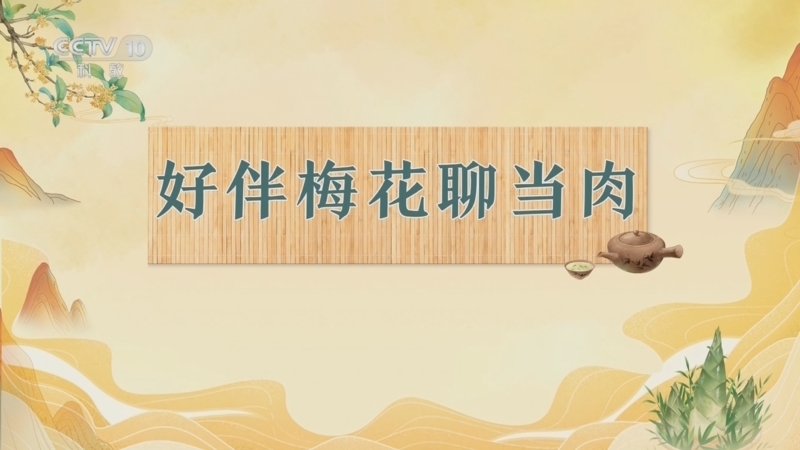 百家讲坛 《百家讲坛》 20250301 诗中宋宴 10 好伴梅花聊当肉