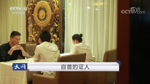 天网 《天网》 20190201 自首的证人