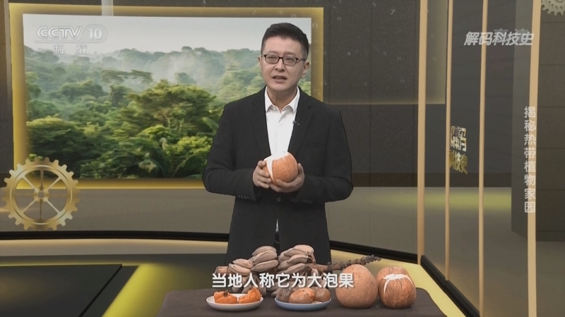 解码科技史 《解码科技史》 20221030 于无声处——揭秘热带植物家园