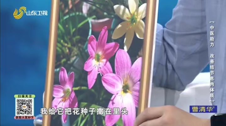 大医本草堂 中医助力 改善结节息肉体质