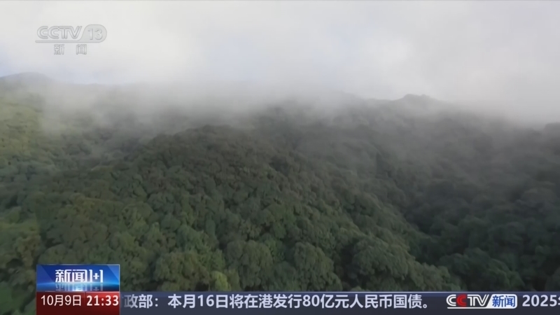 新闻1+1 《新闻1+1》 20241009 欲把“禁区”变“景区”，怎么办？
