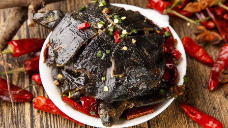 餐厅甲鱼算是“大餐”，可为啥不吃乌龟？