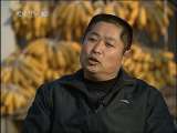 走近科学 动物新春争霸赛 绵羊也好斗