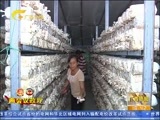 广西新闻 《广西新闻》 20160314