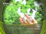 地理中国 《地理中国》 20180626 水下谜团·蝴蝶秘谷