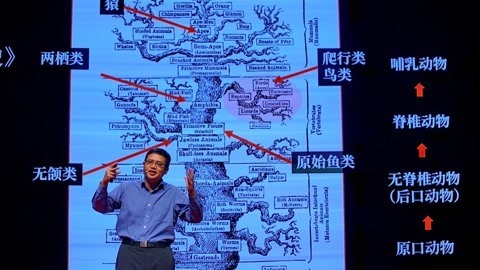 一席演讲 朱敏（终）