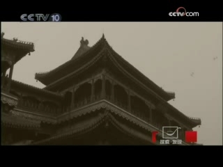 探索发现 玄鸟归来