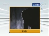 天网 《天网》 20180201 半张脸
