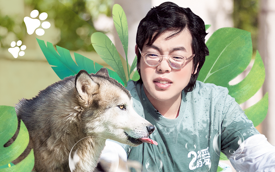 百分之二的爱2 温暖的守护