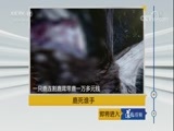 道德观察 《道德观察（日播版）》 20180516 鹿死谁手